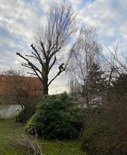 Jardins Services image 3