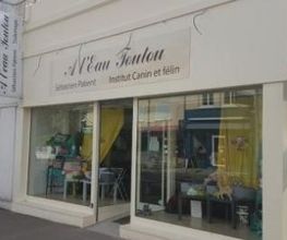 Institut Canin image 1