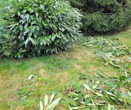 Mahrer Gartenbau GmbH Bild 1
