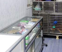Veterinario Alcorcón imagen 13