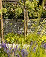 Popp Gartenbau AG Bild 7