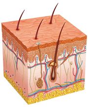 Centre Kératoconseil image 19