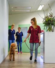 Tierklinik Rossweid AG Bild 7