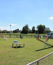 Blättler's Hundeschule Bild 1