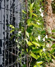 Lambert Clôtures 14 image 1