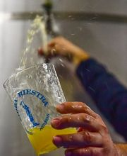 Sidra Riestra imagen 15