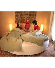 LehmBau Moritz Birke Bild 2