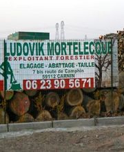 Mortelecque Ludovik image 1