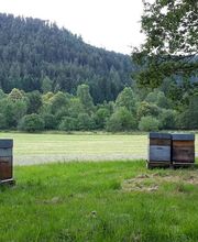 Le Rucher des Hautes Vosges image 4