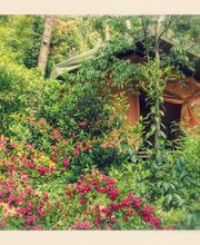 Camping de la Muse image 3