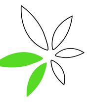 Nuad Thai Massage Berlin Bild 3