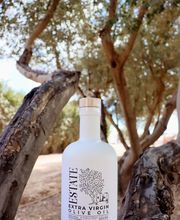 Queen Creek Olive Mill image 2