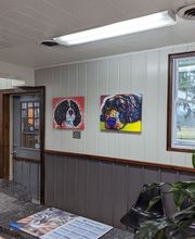 Thornwood Veterinary Clinic image 3