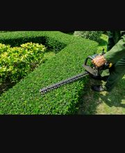 Debarre Elagage image 2