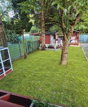 Hausmeister Service Reinhardt Bild 9