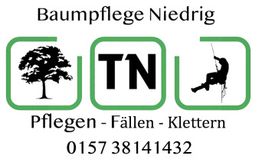Baumpflege Niedrig – Tim Niedrig