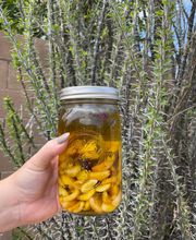 Queen Creek Olive Mill image 8