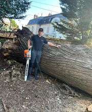 Chassagrande Elagage Fils image 8