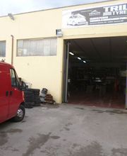 Gallery Cliente