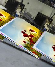 El Demonio Rojo . PRINTING DELUXE, S.L. imagen 5