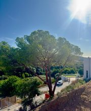 CORSE ELAGAGE image 1