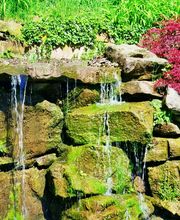 Sieben Elemente Jonathan Dieter Gartengestaltung Bild 18