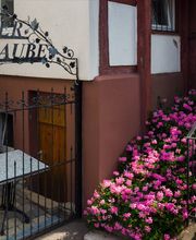 Hotel & Restaurant Adler Bild 11