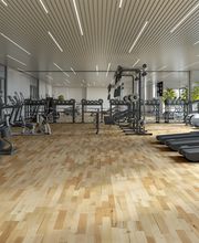 HAYA FORESTAL.(3 LAMAS).
THREE-STRIP BEECH FORESTAL.
