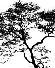 ELEMENT TERRE PAYSAGE image 1