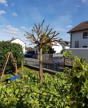 Schäfer Haus- und Gartenservice Bild 1