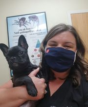 Green Summit Animal Clinic image 12