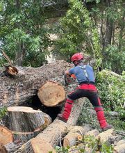 Les Environneurs image 11