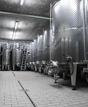 Cave des Bernunes SA Bild 3