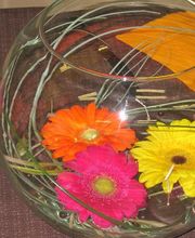 Il Etait Une Fleur image 17