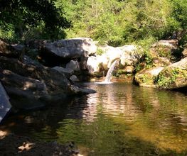 Camping Le Pastural image 3