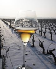 DOMAINE DE L'ÉTÉ ET CHATEAU DES ROCHETTES SCEA CATHERINE NOLOT image 10