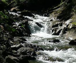 Bestattungen Baumann AG Bild 9