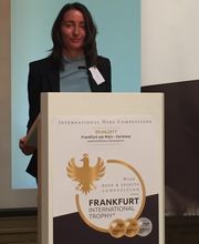 Trans-Language Bild 2