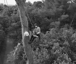 VERTDALLET image 1