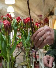 Art Et Nature image 4