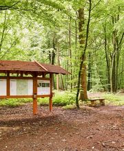 FriedWald Buxtehude Bild 11