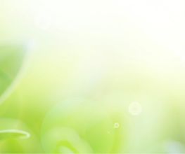 CMF Services image 1