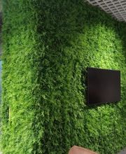 Franzen Moos Wanddesign Bild 8