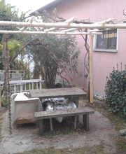 BaumGärtner - Giardini Bild 8