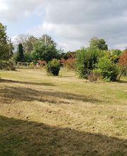 Ted Multiservices image 3