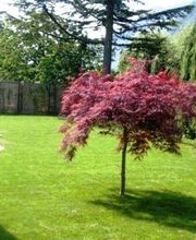 Jardins-soignés SA Bild 3