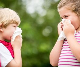 Allergie- und Asthmapraxis, Dr. med. Levy Francis Bild 7