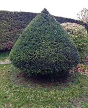 Maziere Espaces Verts image 3