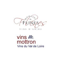 Vins Mottron