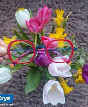 Opticien Krys image 2